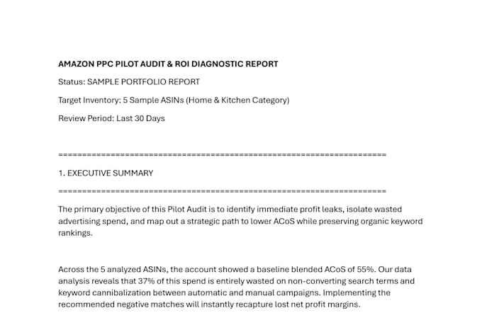 perform a professional amazon PPC audit and ROI calculation